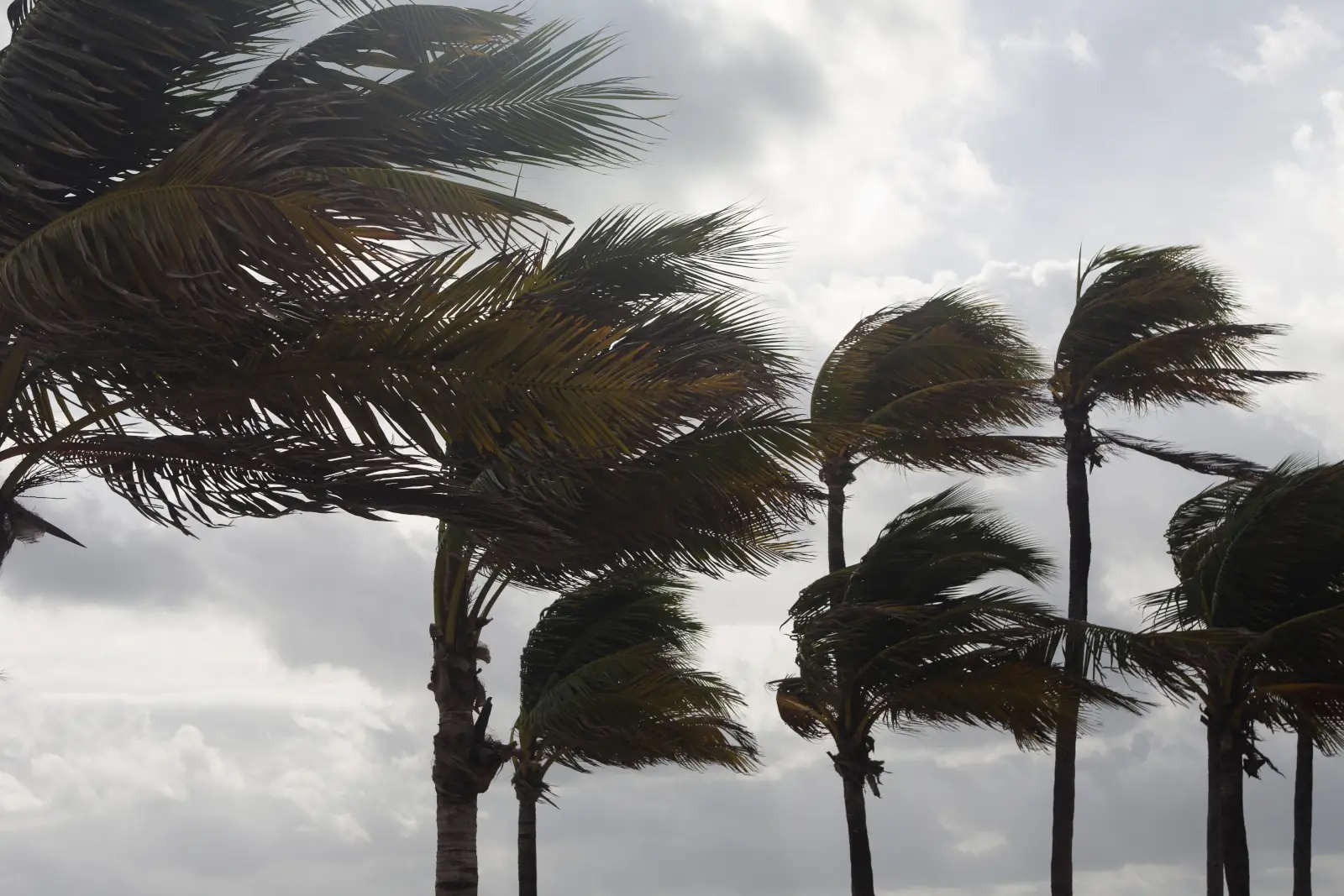 Home Watch Hurricane Services
